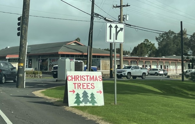Sign showing direction to Christmas tree sale